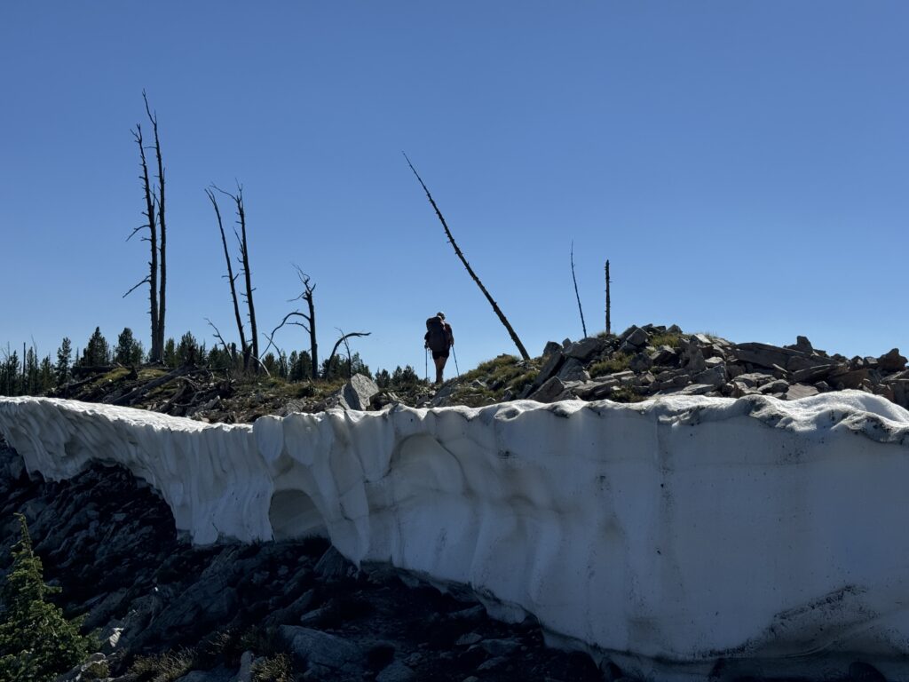 Brandfläche und Schnee