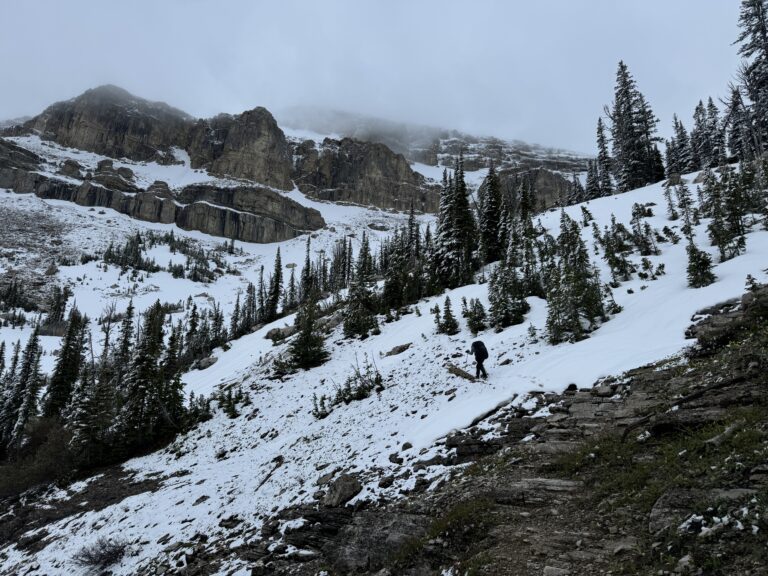 Auf unserem Weg zum Switchback Pass