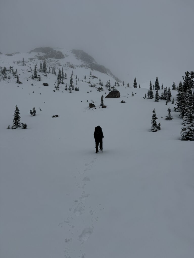 Auf unserem Weg zum Switchback Pass