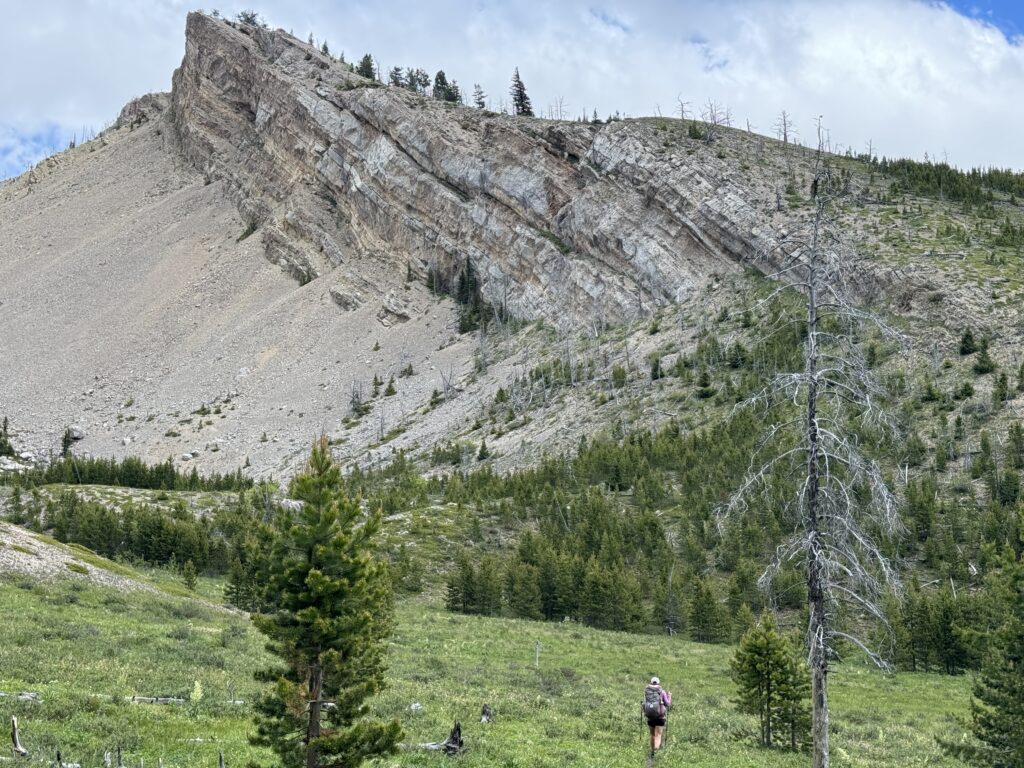 Scapegoat Wilderness
