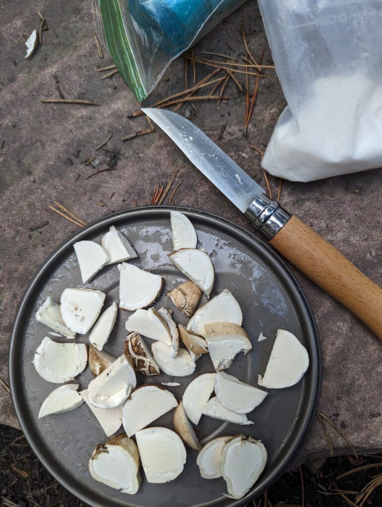 Heute haben wir Pilze gesammelt um unser Abendessen aufzupeppen
