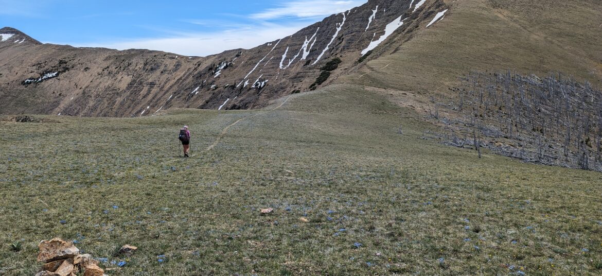 Gratwanderungen in der Scapegoat Wilderness