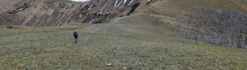 Gratwanderungen in der Scapegoat Wilderness
