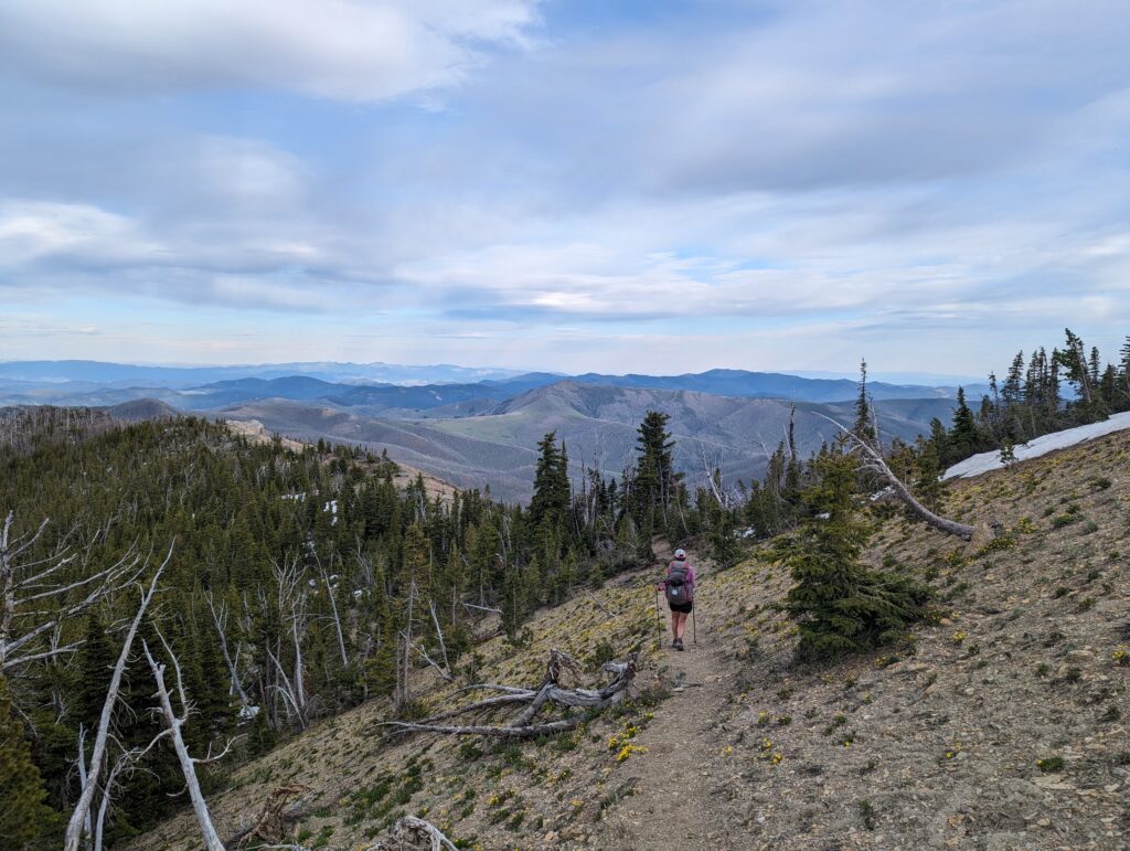 Scapegoat Wilderness