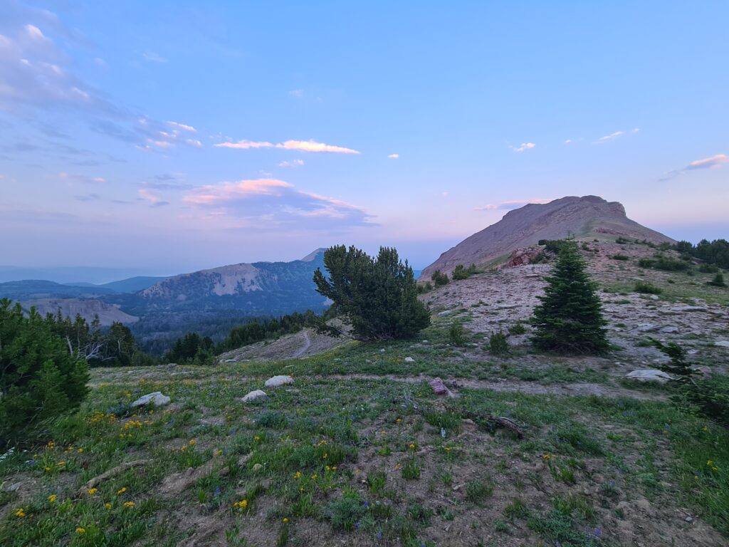 Abendlicher Blick vom Targhee Pass