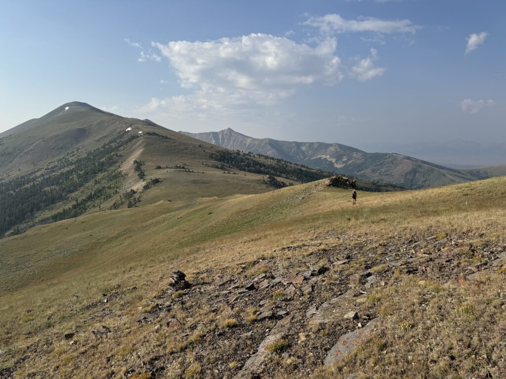 Cottonwood Peak