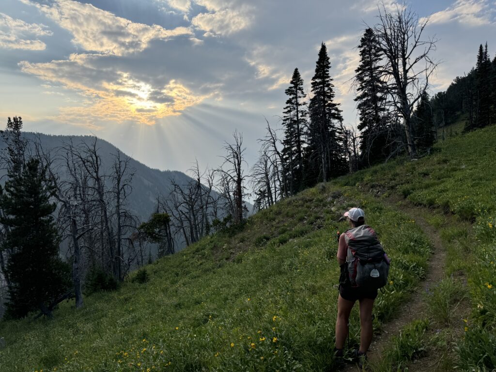 Aufstieg zum Targhee Pass in der Abendsonne