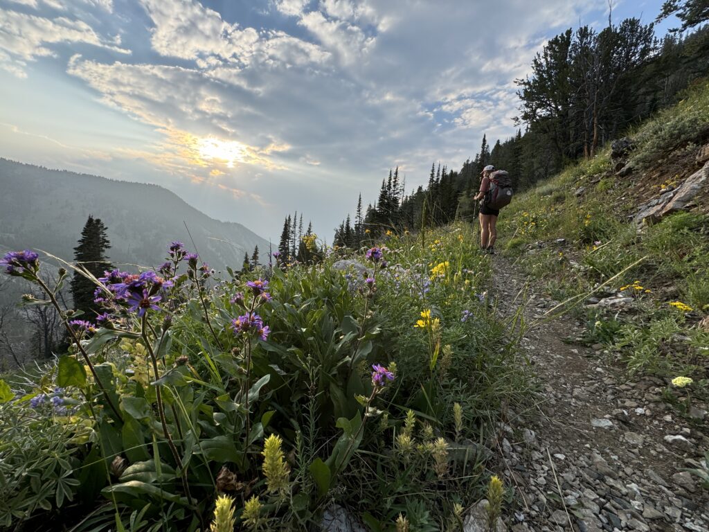 Aufstieg zum Targhee Pass in der Abendsonne