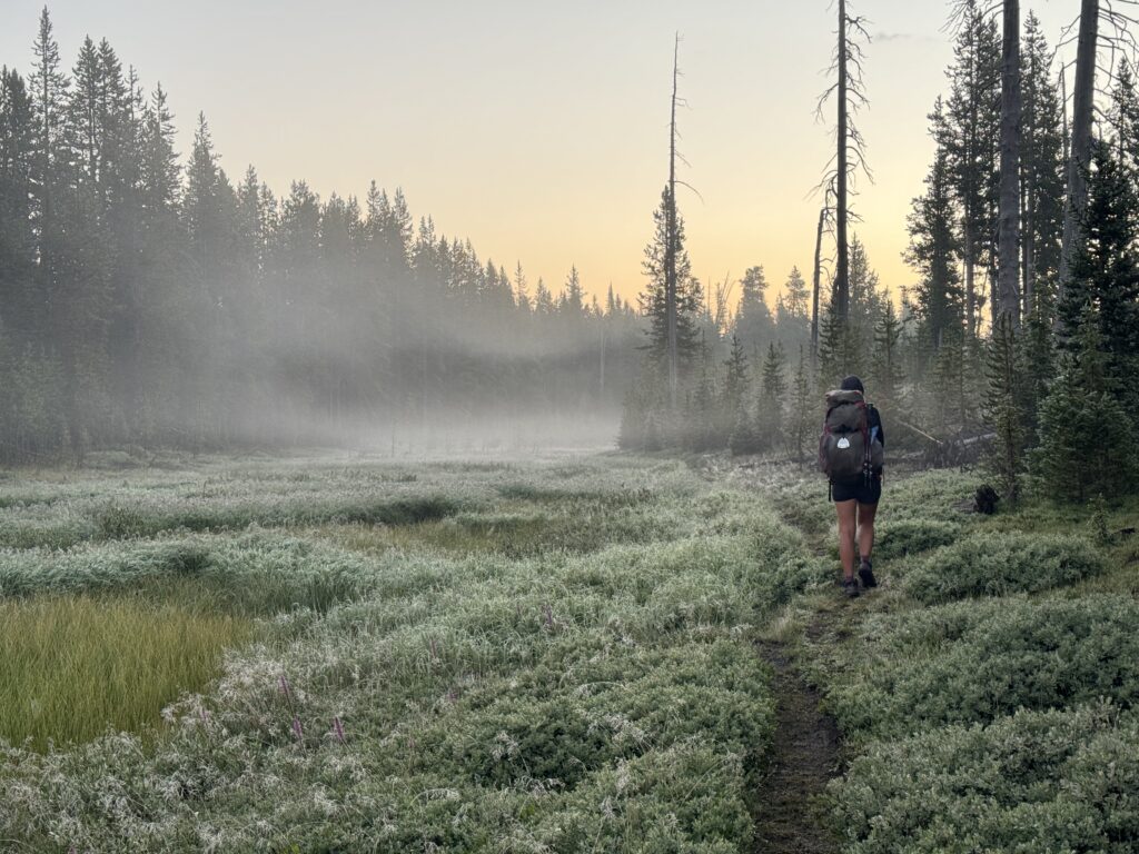 Morgens im Yellowstone National Park