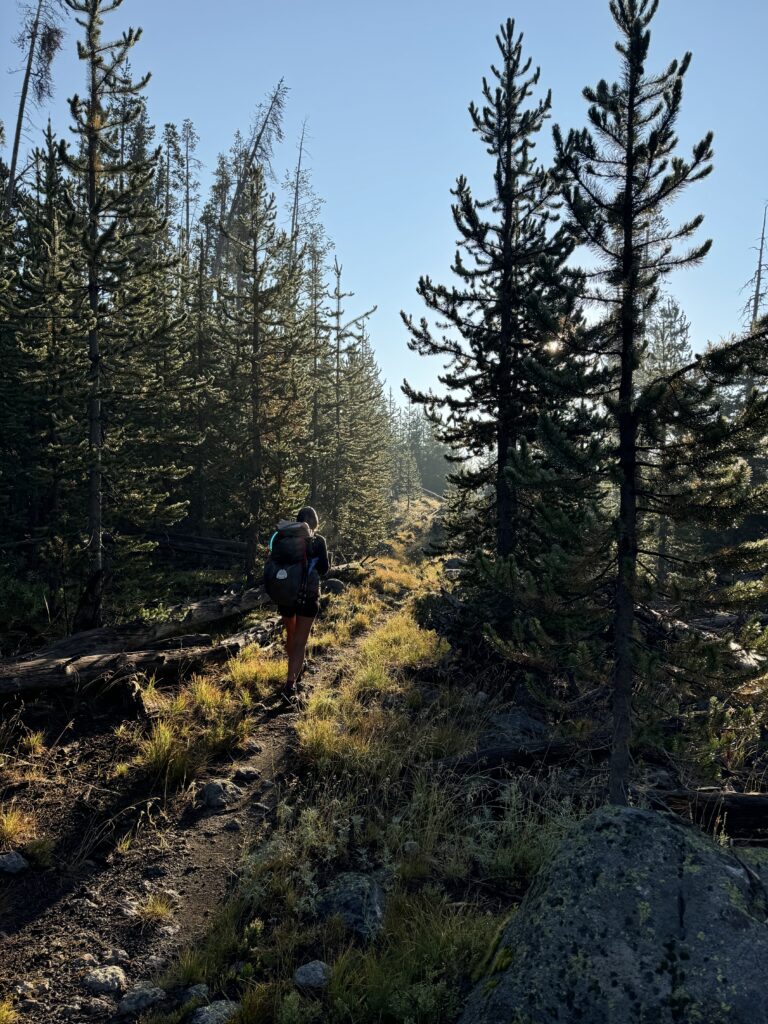 Morgens im Yellowstone National Park