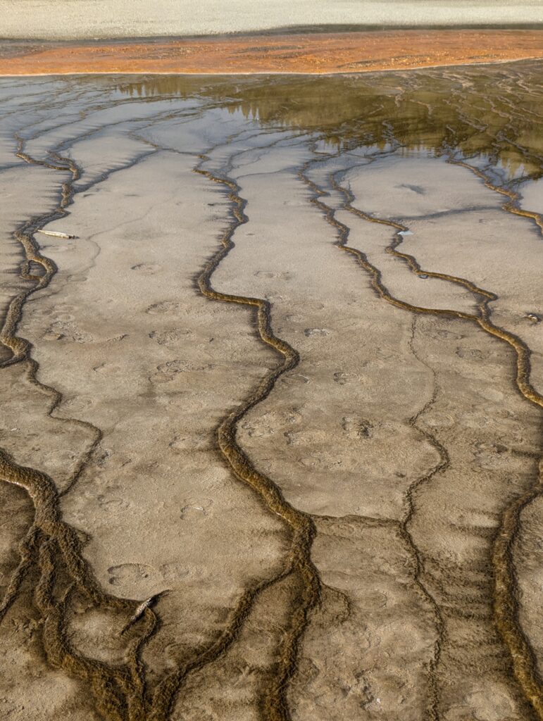 Interessante Strukturen im Yellowstone National Park