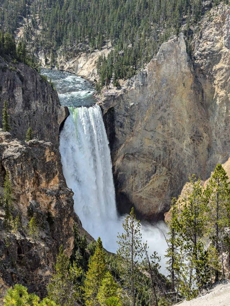 Grand Canyon of Yellowstone