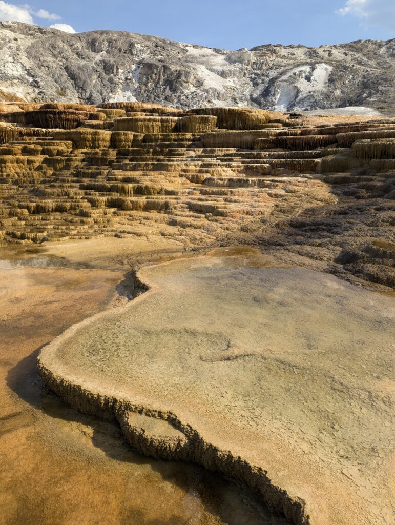 Mammoth Hot Springs