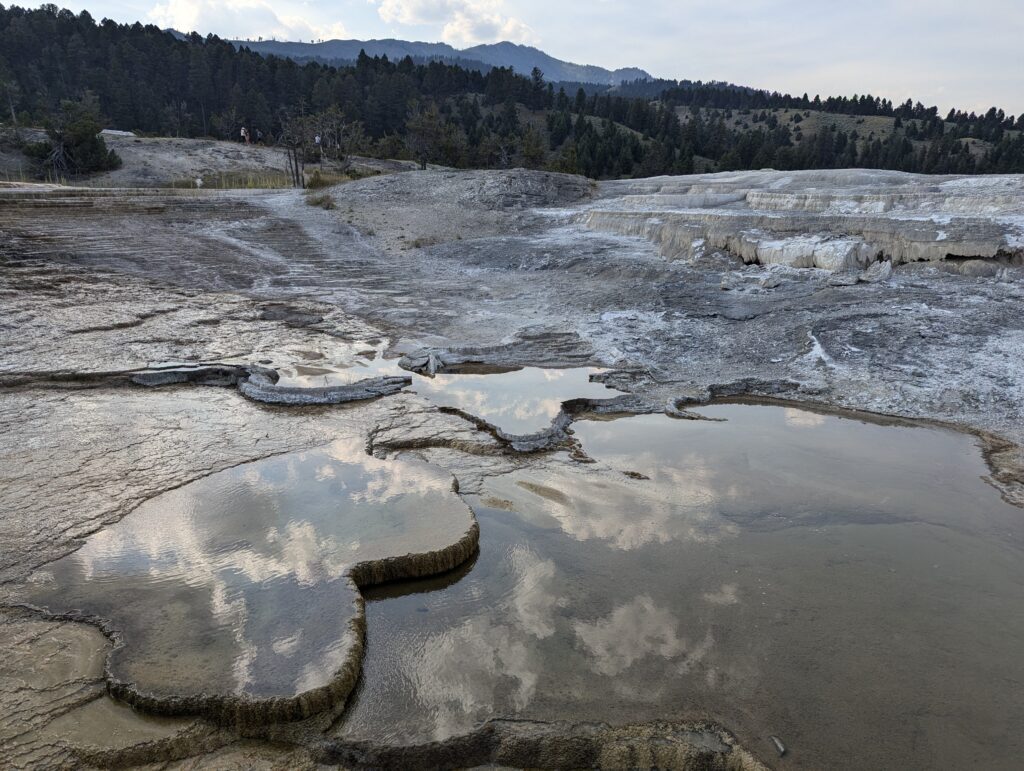 Mammoth Hot Springs