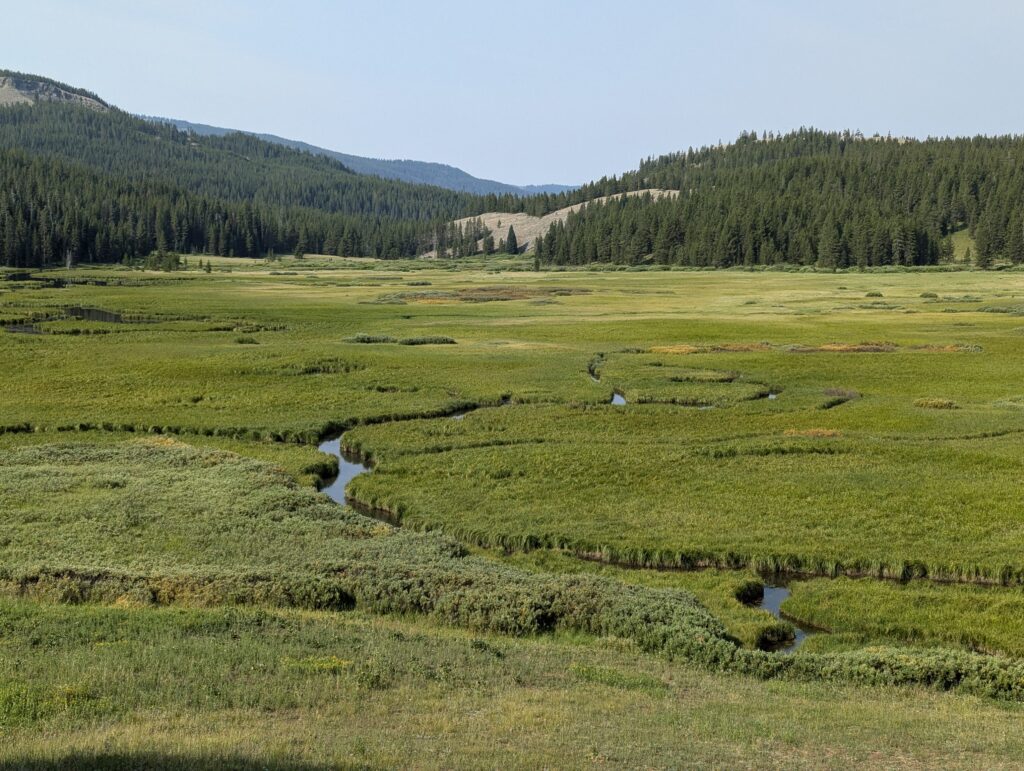 Yellowstone National Park