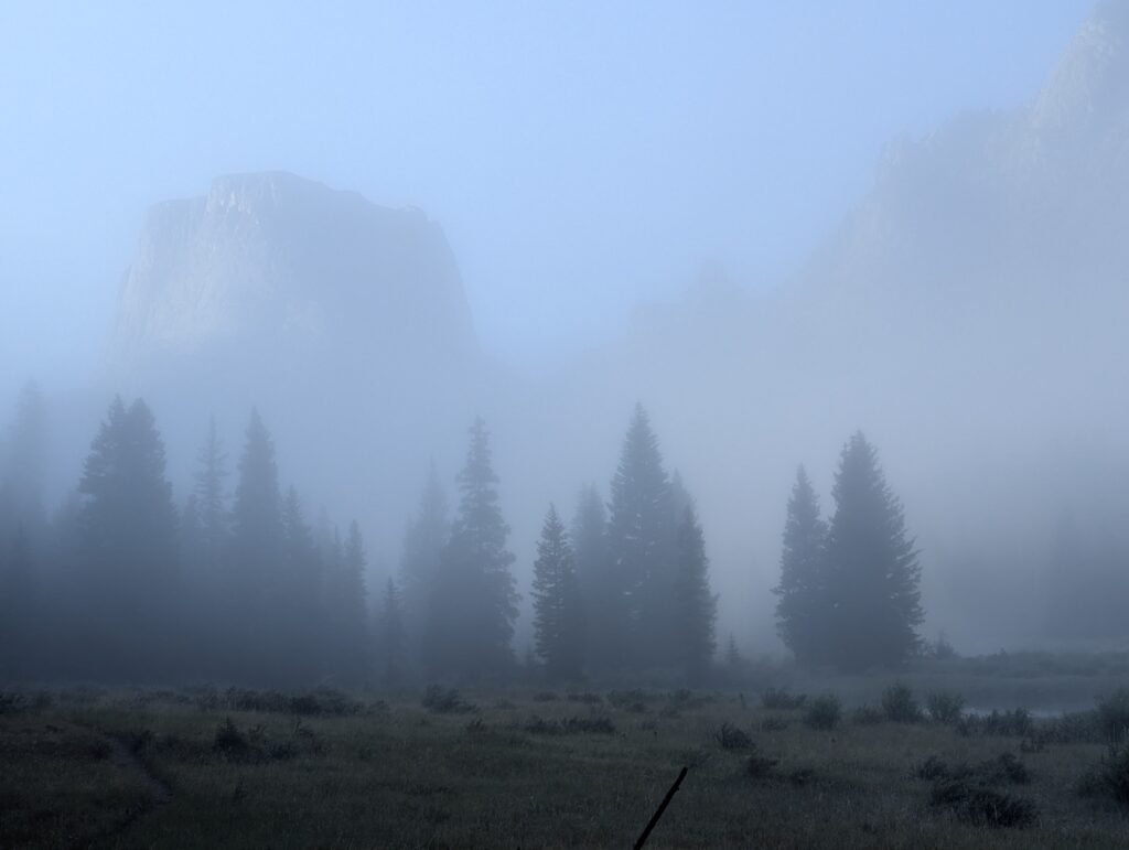 Morgendlicher Nebel