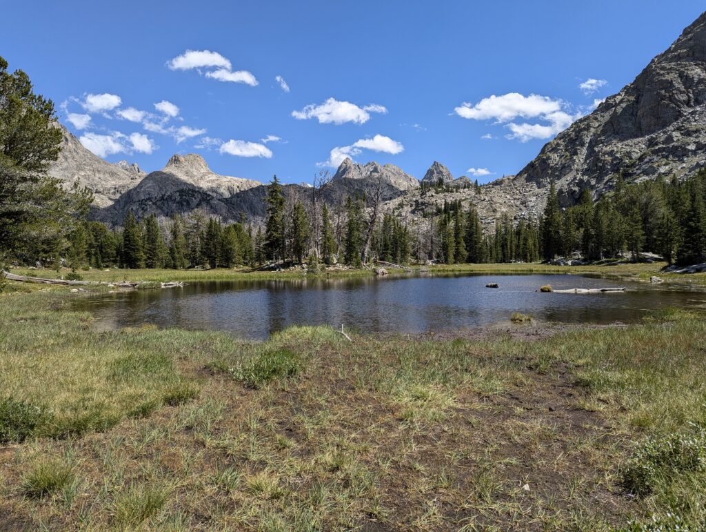 Vista Pass