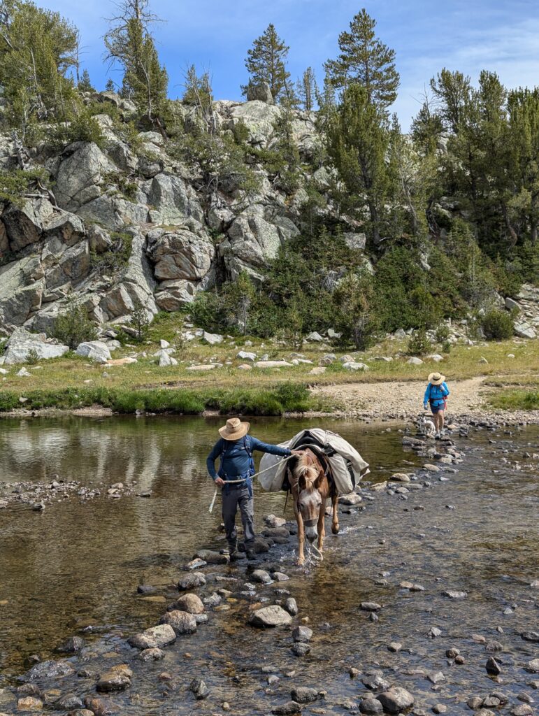 Flussüberquerung in der Wind River Range