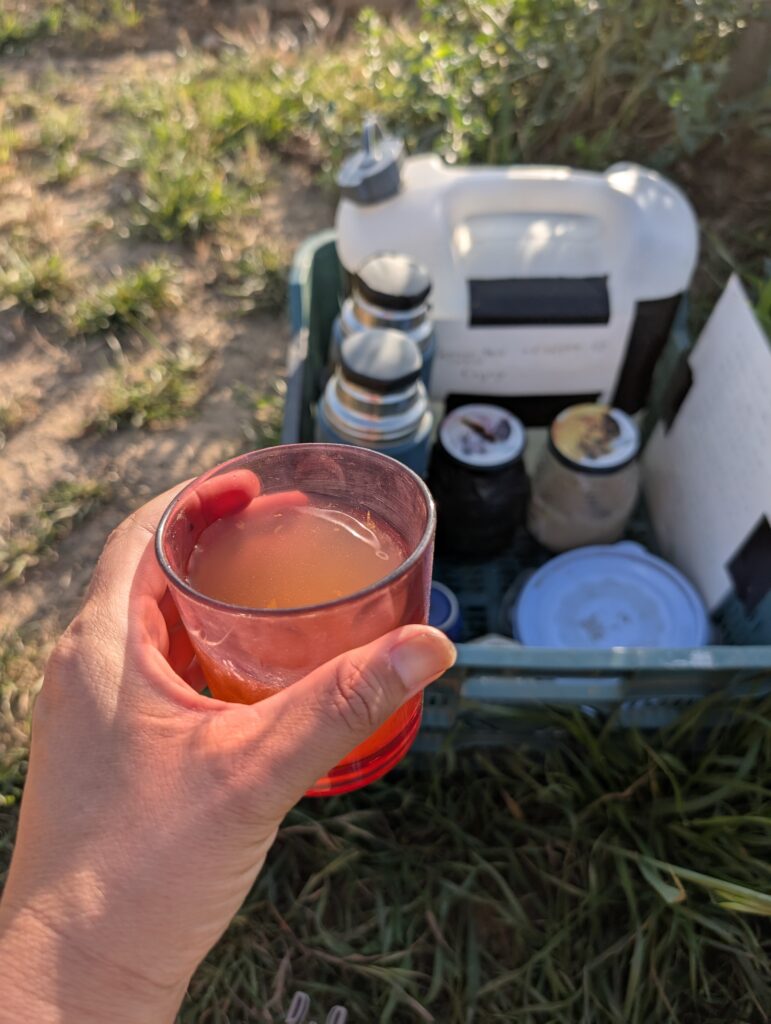 Trail Magic auf dem Fischerweg