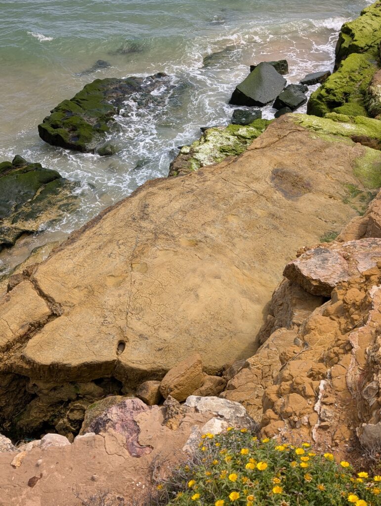 Dinosaurierspuren am Strand von Salema
