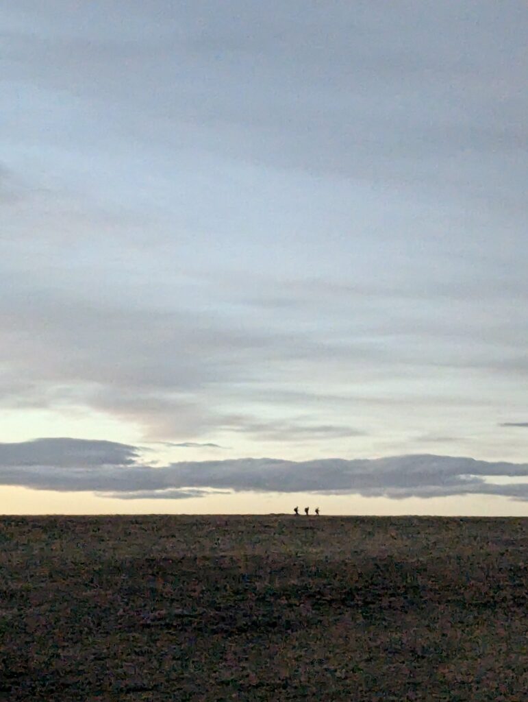 Blaue Stunde im Basin