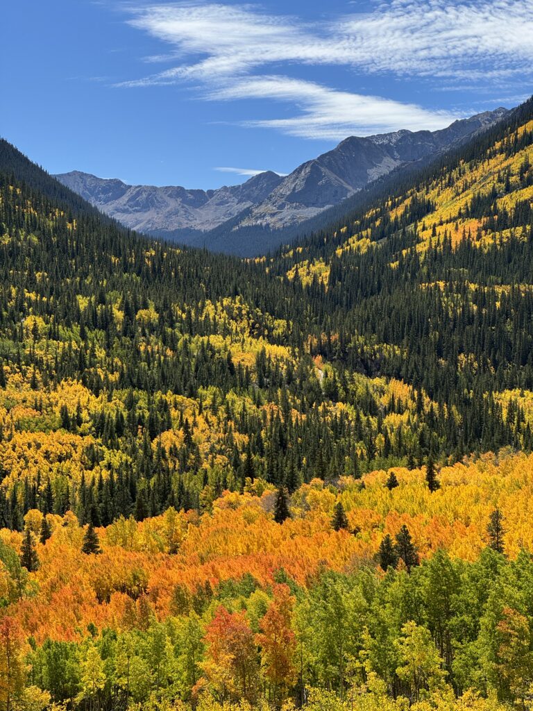 Herbstfarben auf der Collegiate West