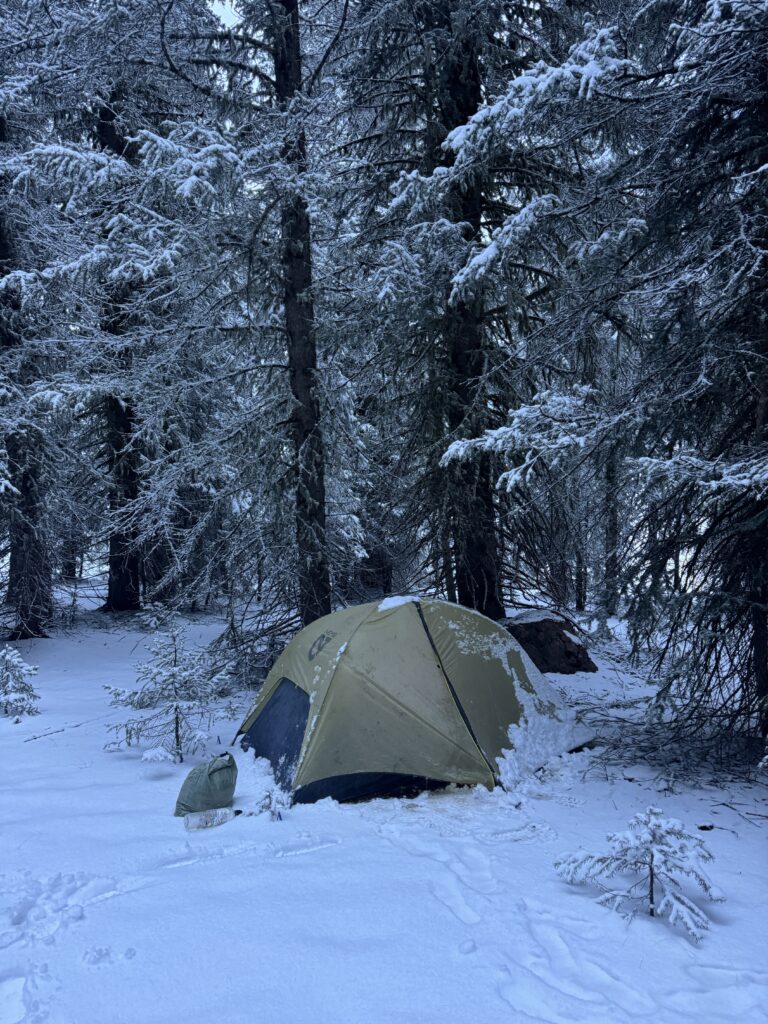 Wir wachen im Schnee auf