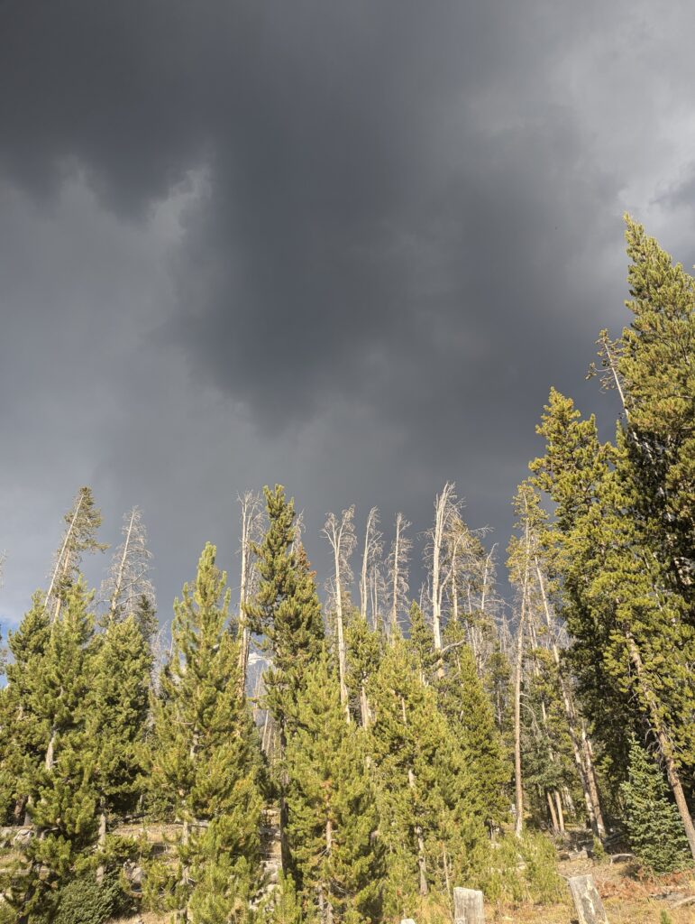 Dunkle Wolken bringen einen kurzen Hagelschauer