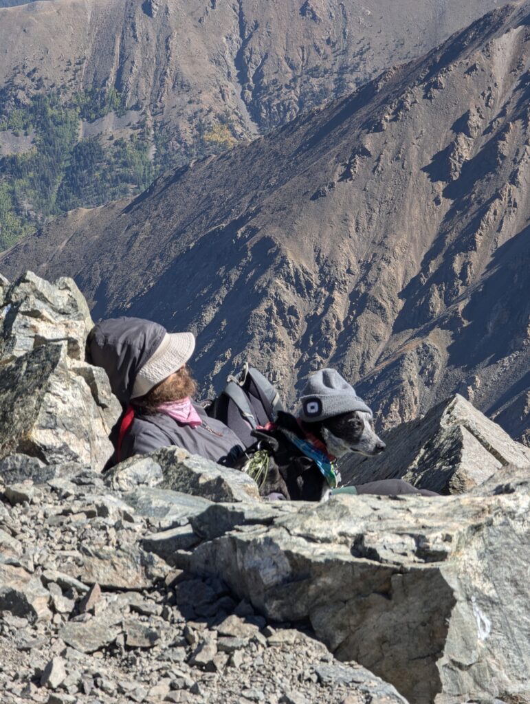 Torreys Peak