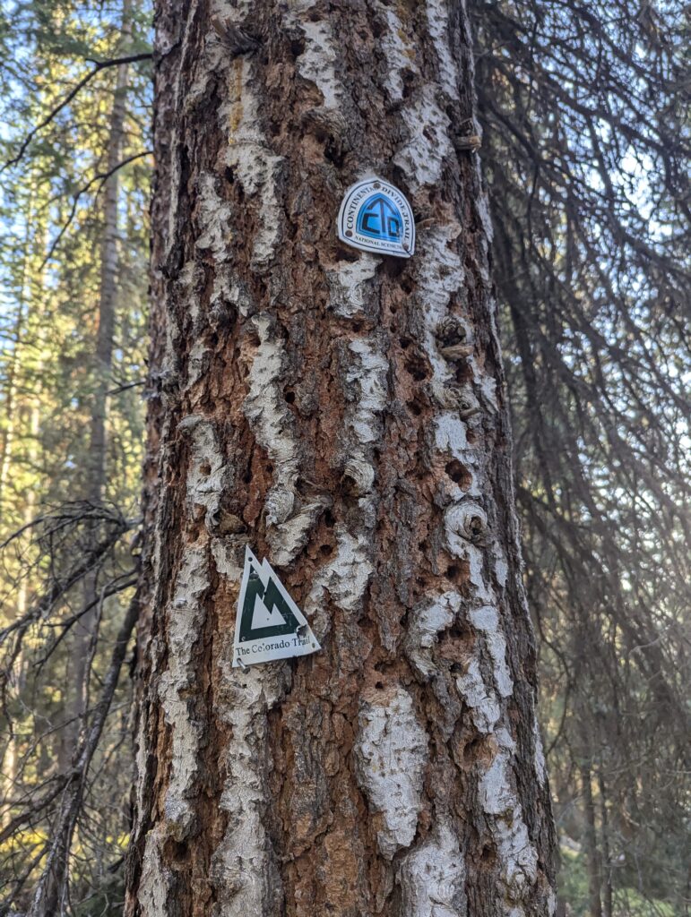 Anschluss an den Colorado Trail