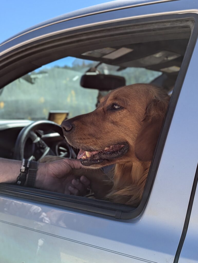Tucker im Truck