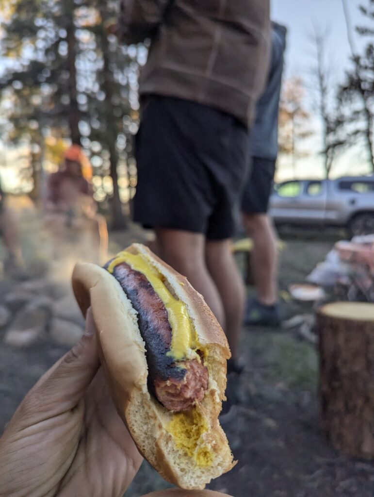Hot Dogs