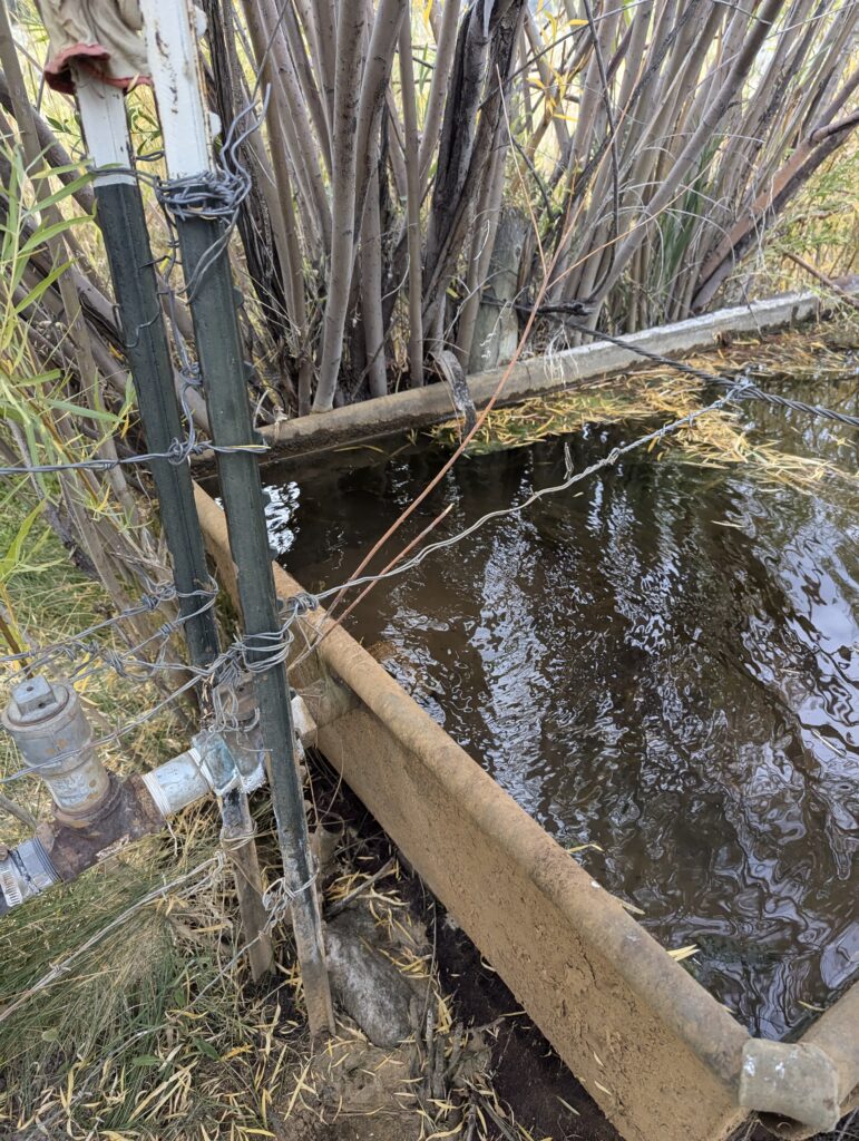 Eine Viehtränke ist unsere letzte Wasserquelle für heute