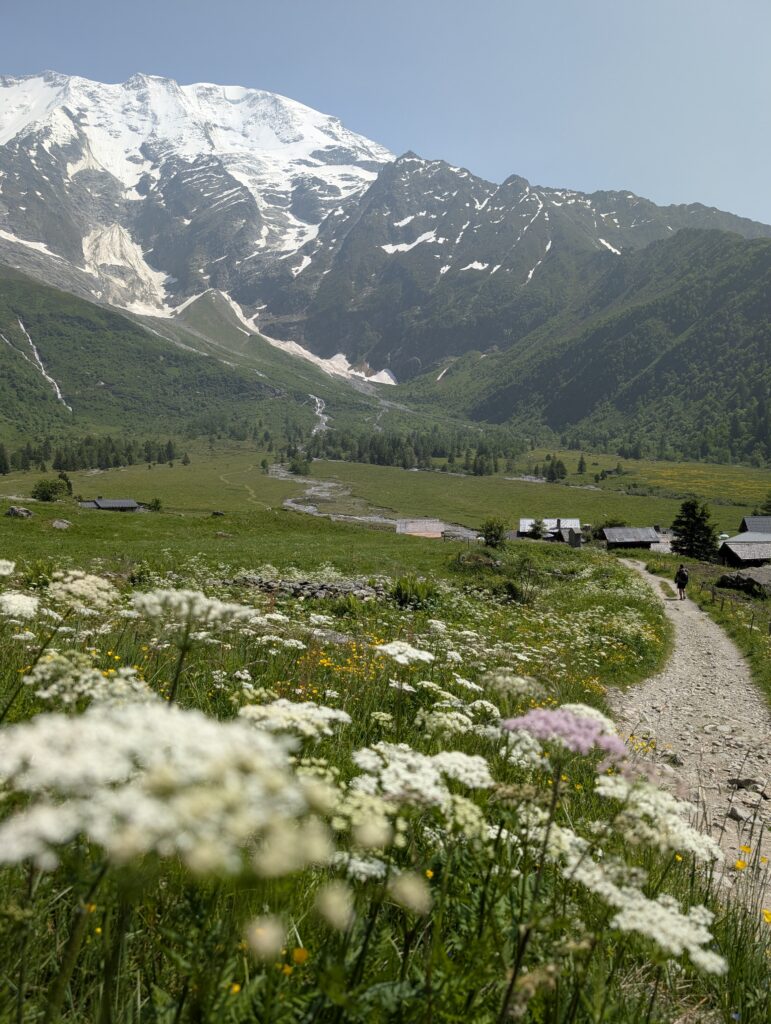 Weg zum Refuge de Miage