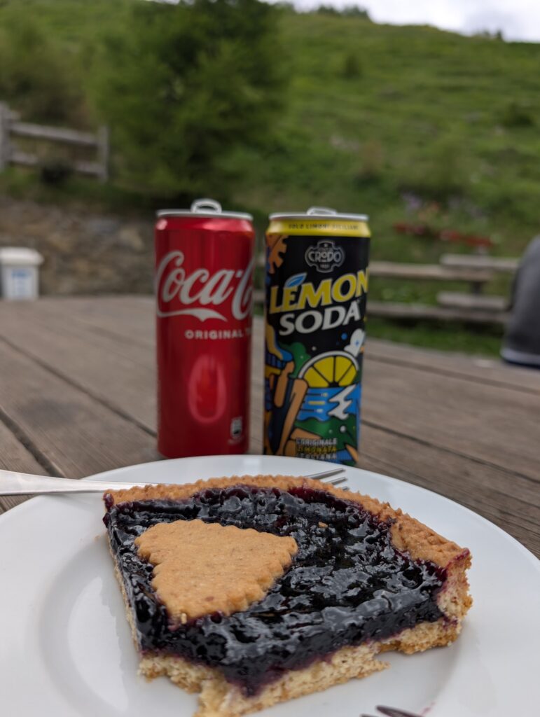 Blaubeerkuchen am Refugio Bonatti