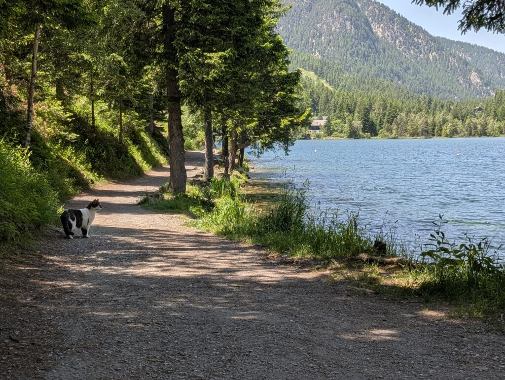 Champex-Lac
