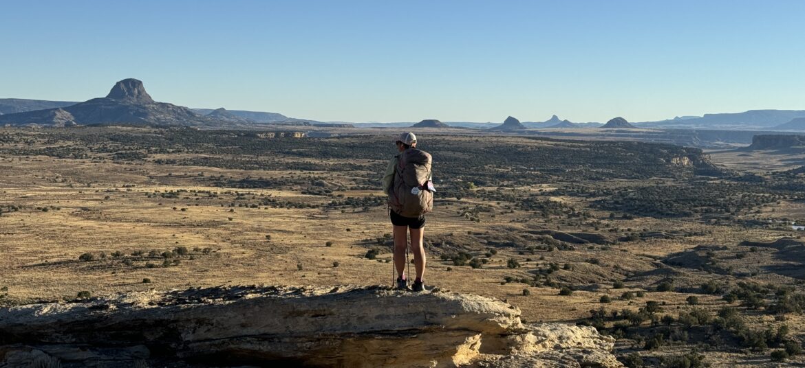 Die Wüste New Mexicos