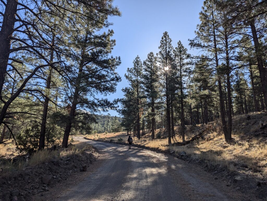 Road Walk