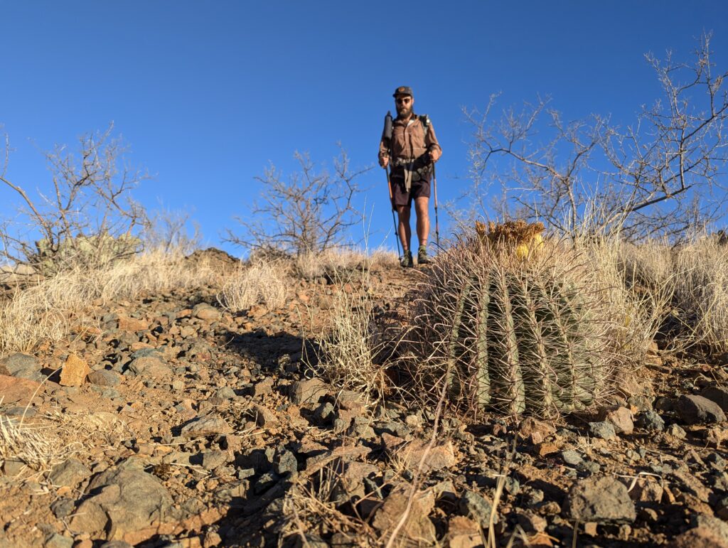 Barrel Cactus: Eine stachelige Erinnerung der Natur daran, darauf zu achten wo man hintritt
