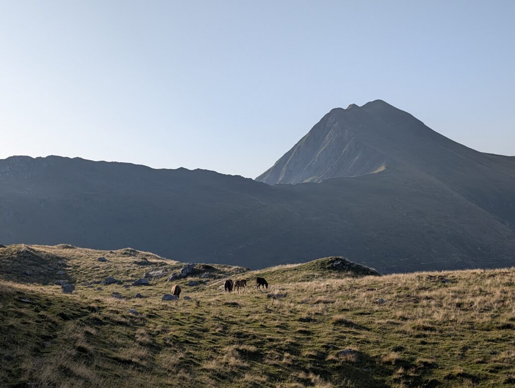 Morgendlicher Aufstieg zum Port de Belhay Pass