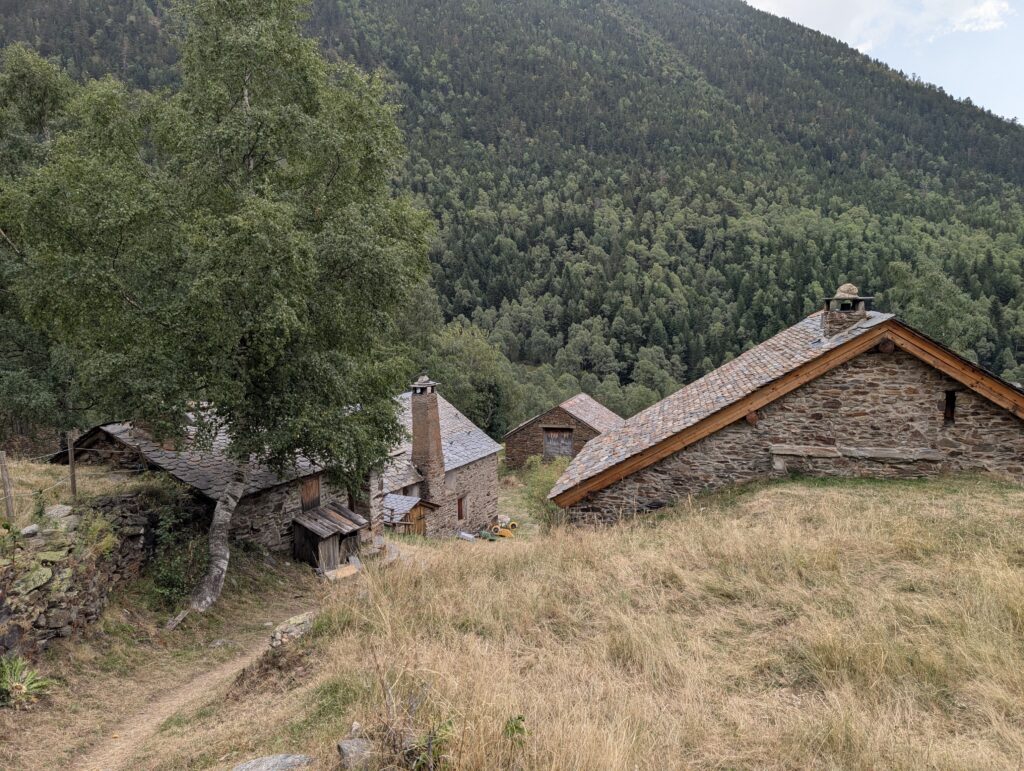 Noarre