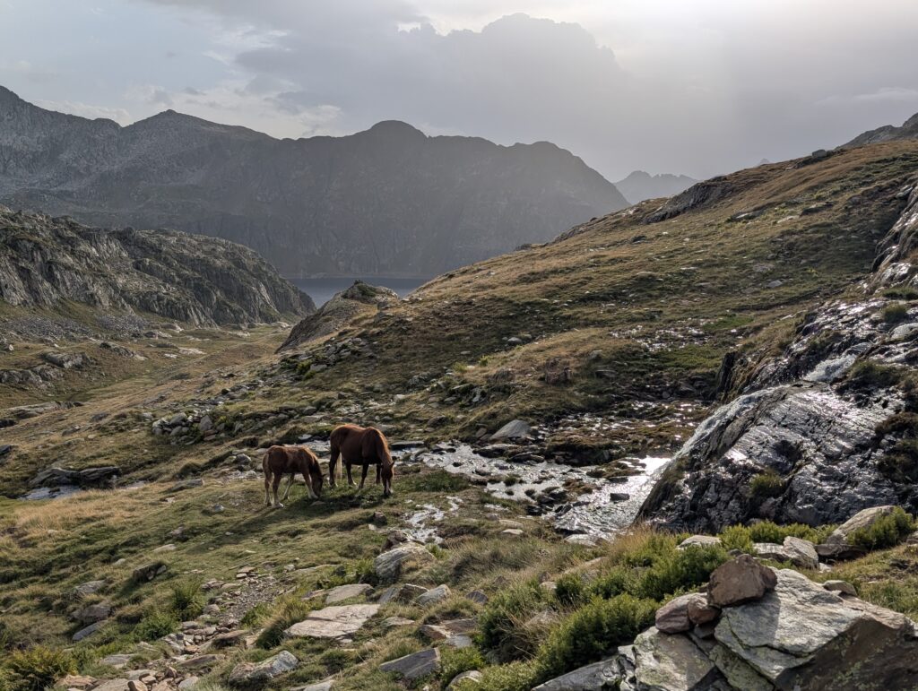 Abstieg zum Lac de Certascan