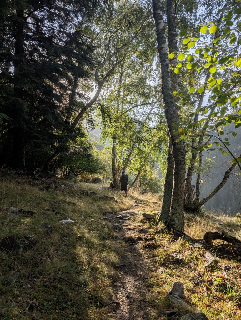 Beginn eines vielversprechenden Morgens