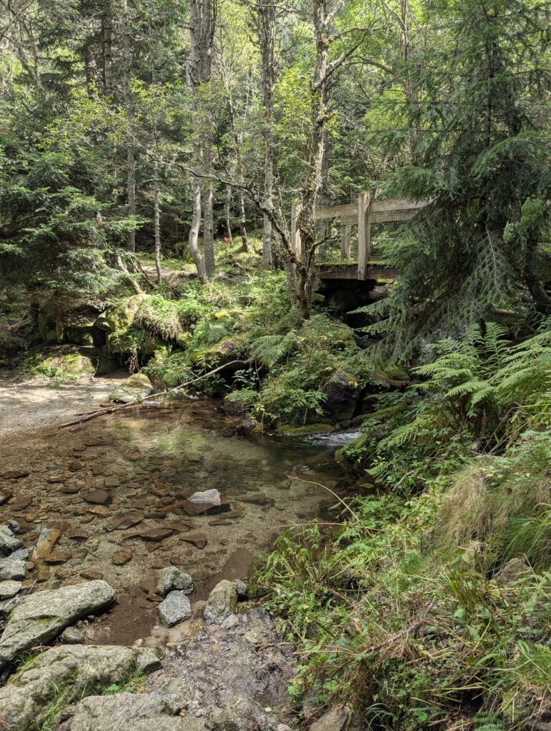 Aufstieg zur Cabane Arago