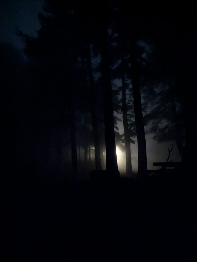 Nächtlicher Nebel