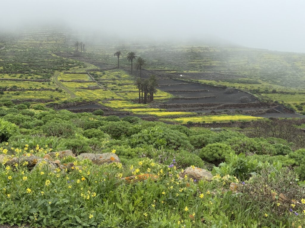 Aufstieg zum Peñas del Chache
