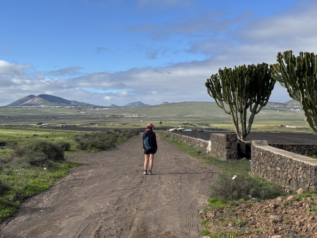 Road Walk von Teguise