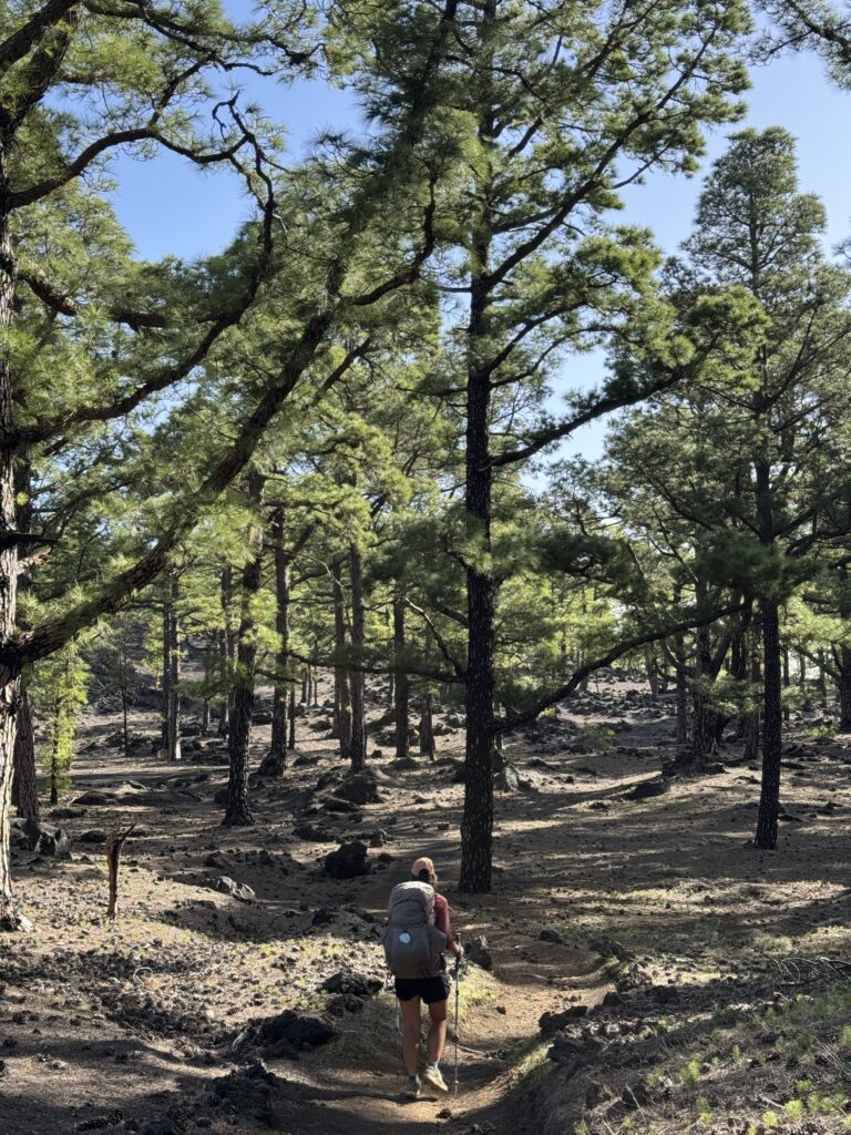 Aufstieg durch den Wald