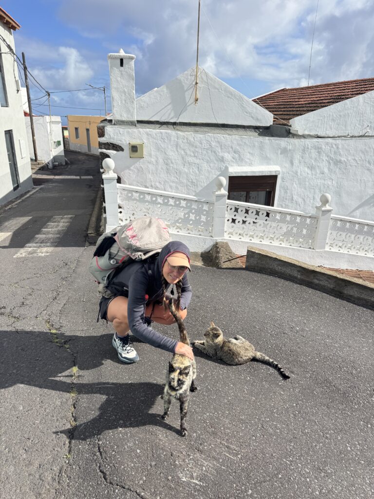 Katzenkuscheln in Valverde