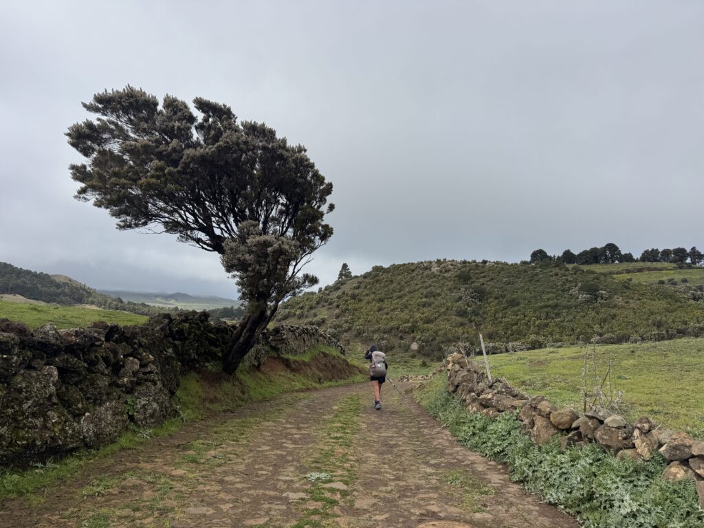 GR 131 nach Fuente de La Llanía